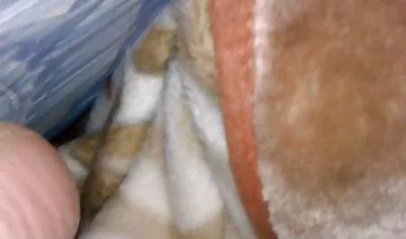 Seksi Tay kızı Sikiyor mature anal sex izle masör