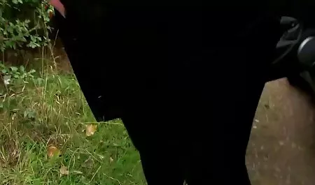 Canavar horoz göt Bridgette B yok olgun sekz